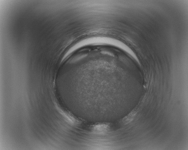 X0000064770168200602101258