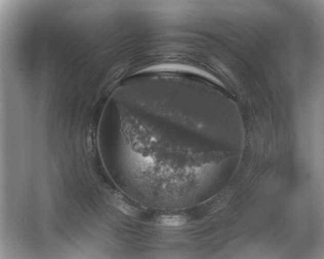 X0000064770169200602101258