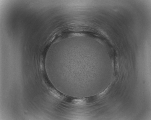 X0000064770170200602101258