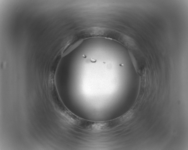 X0000064770172200602101258