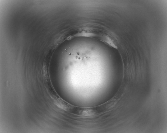 X0000064770173200602101258