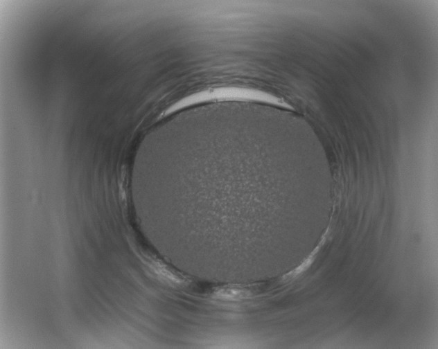 X0000064770174200602101258