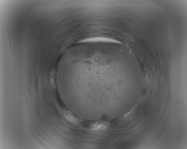 X0000064770175200602101258