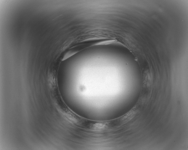 X0000064770176200602101258