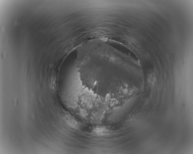 X0000064770177200602101258