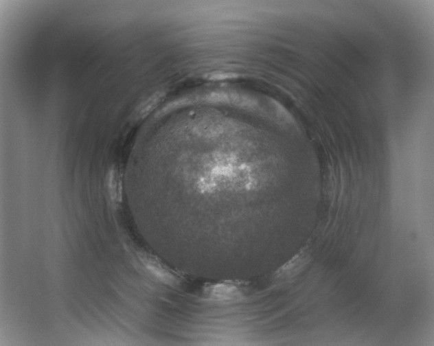 X0000064770180200602101258