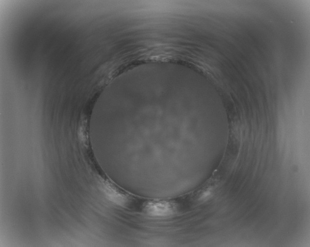 X0000064770181200602101258