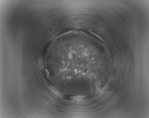 X0000064770182200602101258