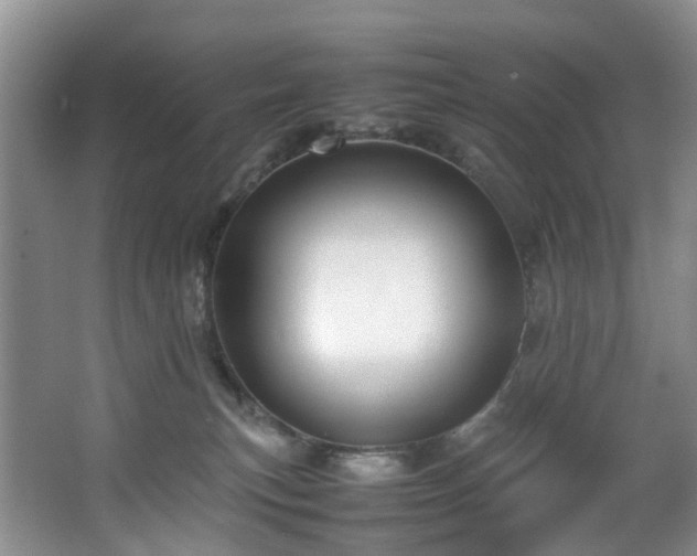 X0000064770183200602101259