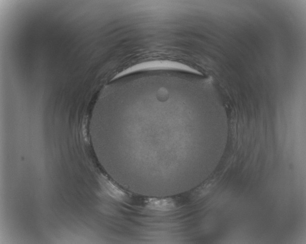 X0000064770185200602101259