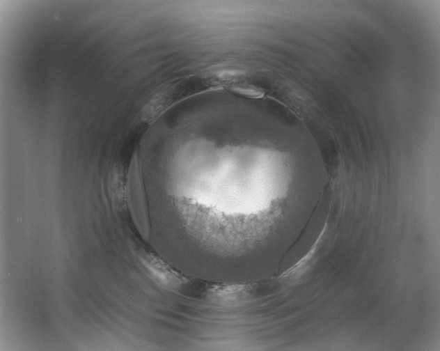 X0000064770186200602101259