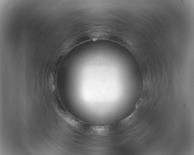 X0000064770187200602101259