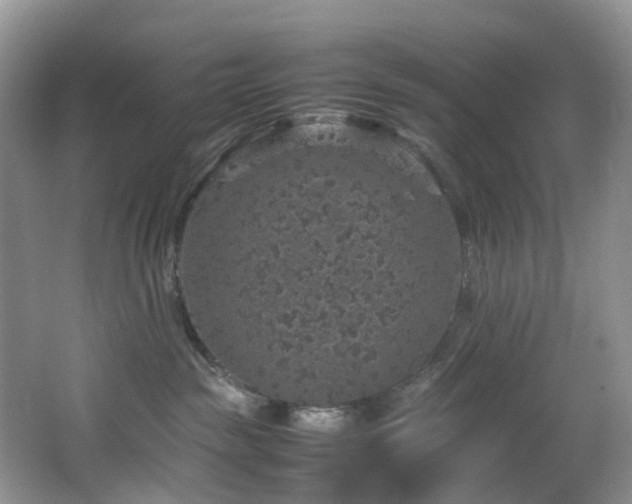 X0000064770189200602101259