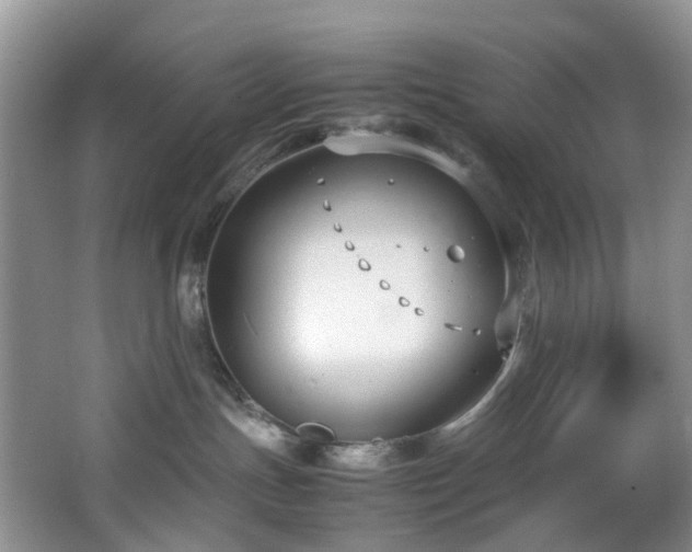 X0000064770191200602101259