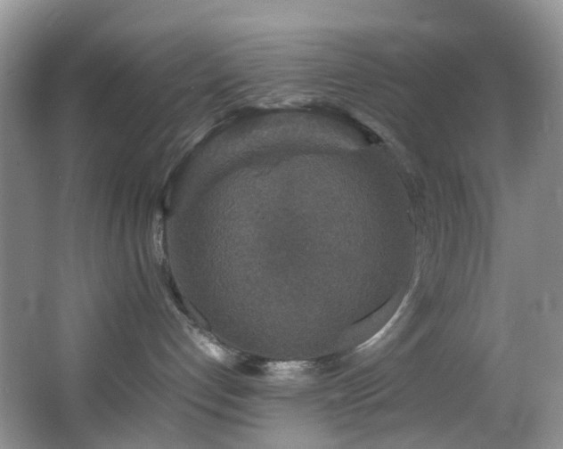 X0000064770192200602101259