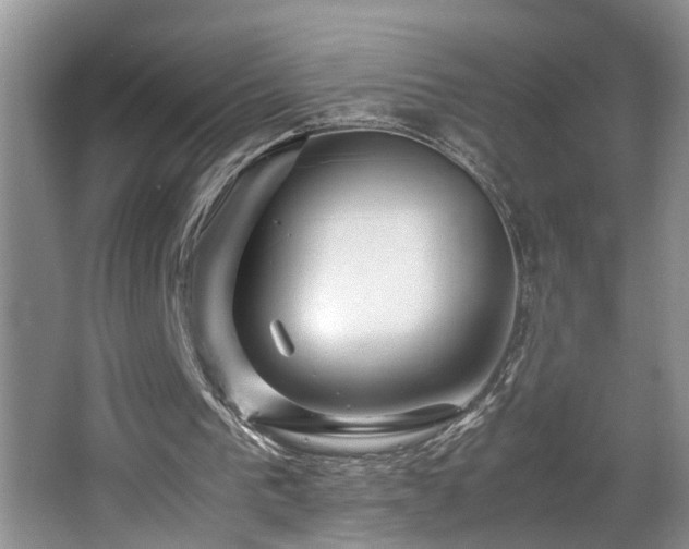 X0000064770193200602101258