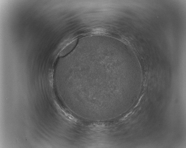 X0000064770194200602101258