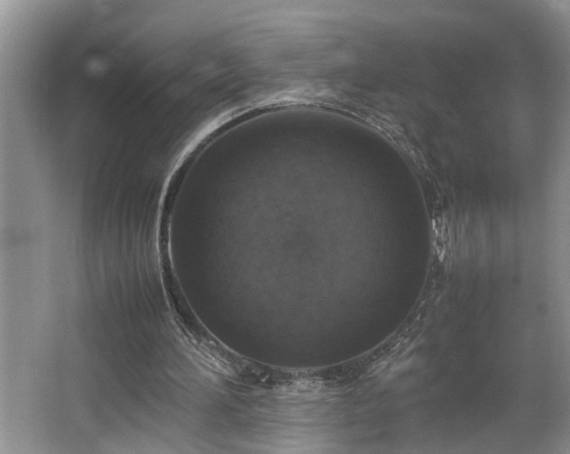 X0000064770196200602101258