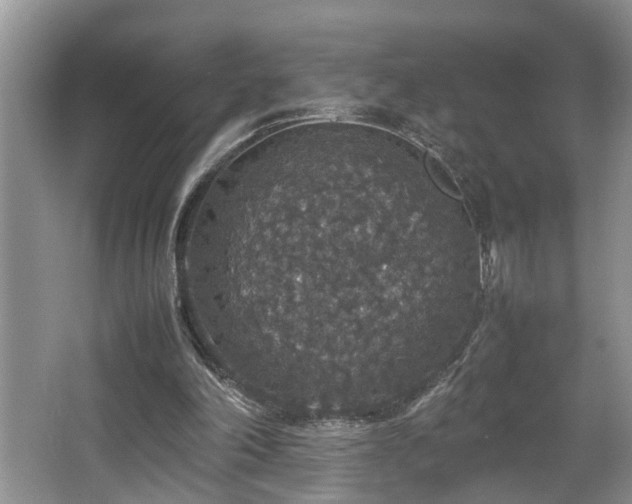 X0000064770198200602101258