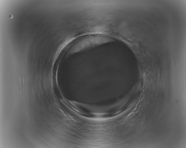 X0000064770200200602101258