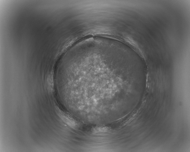 X0000064770202200602101258