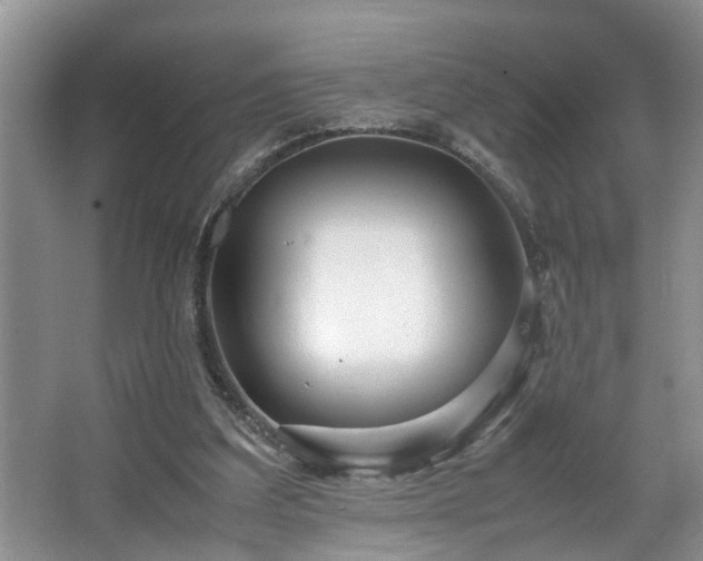 X0000064770203200602101258