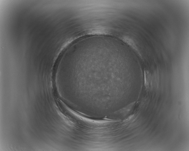 X0000064770204200602101258