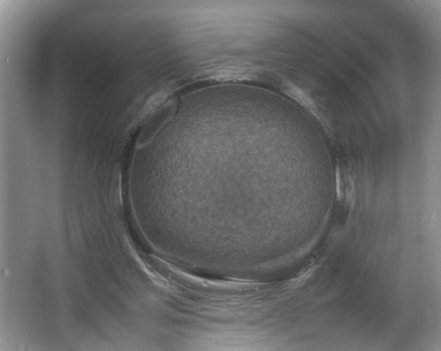 X0000064770205200602101258