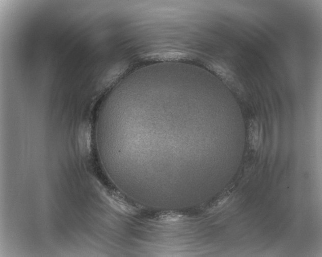 X0000064770206200602101258