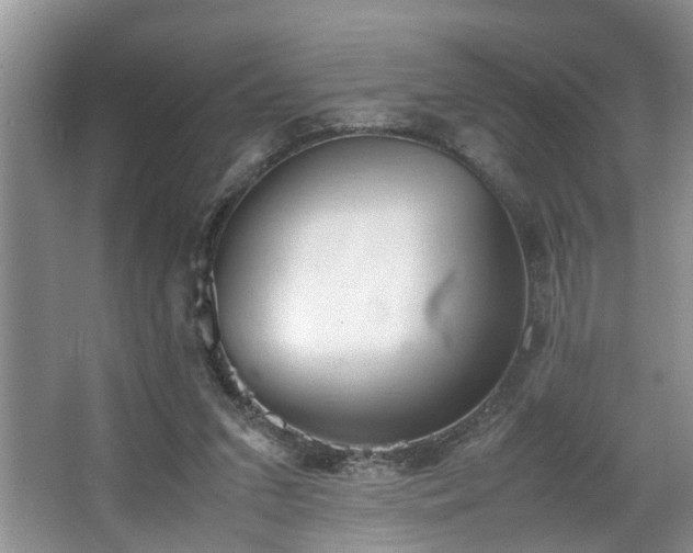 X0000064770207200602101258