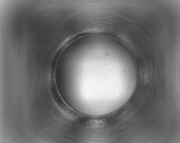 X0000064770208200602101258