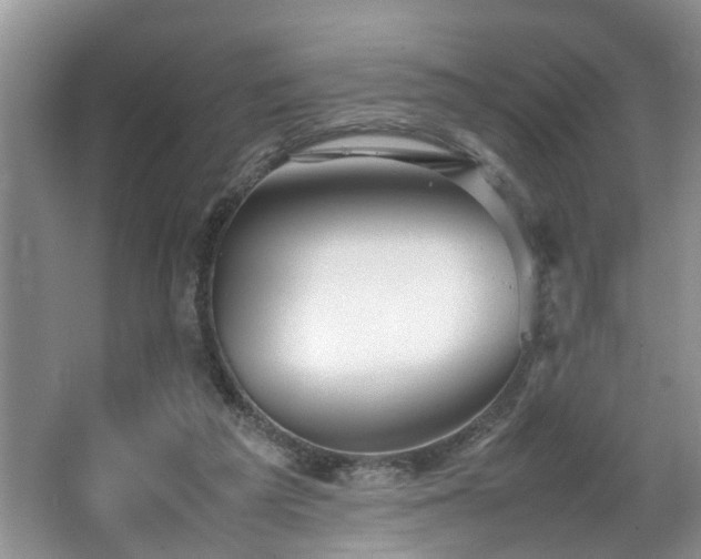 X0000064770209200602101258