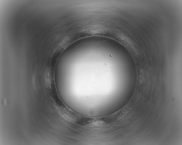 X0000064770210200602101258