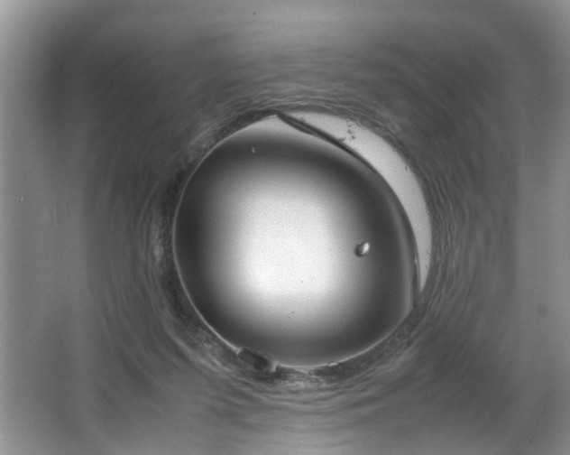 X0000064770215200602101257