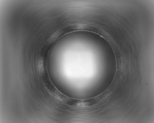 X0000064770216200602101257