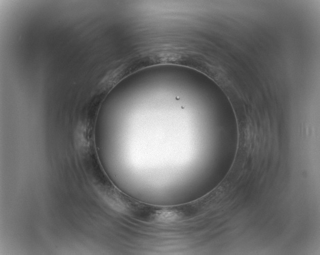 X0000064770218200602101257