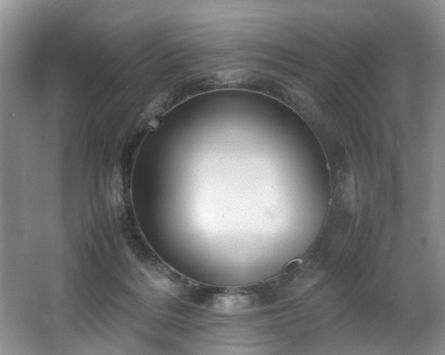 X0000064770220200602101257