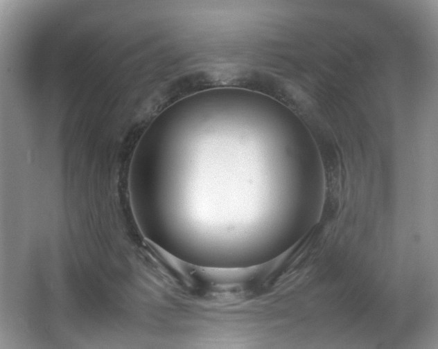 X0000064770221200602101257