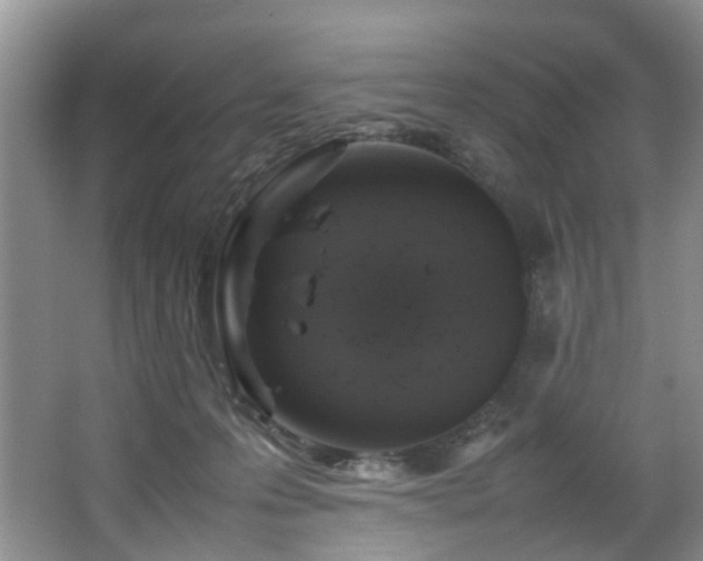 X0000064770223200602101257