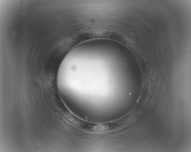 X0000064770225200602101257