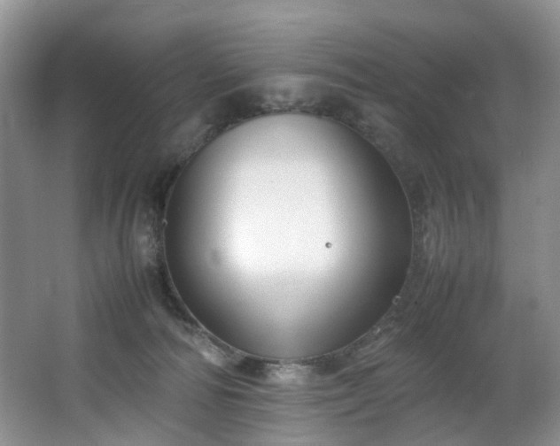 X0000064770226200602101257