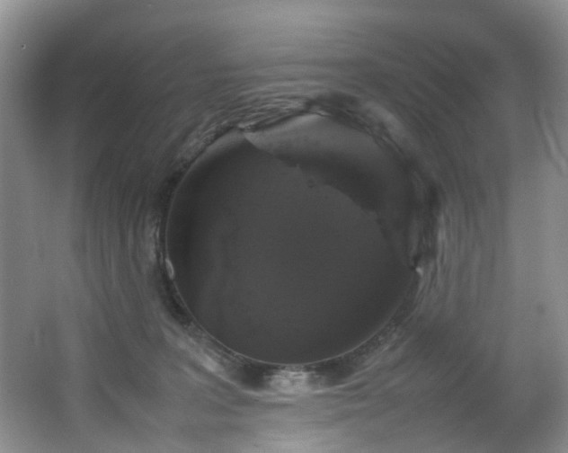 X0000064770227200602101257