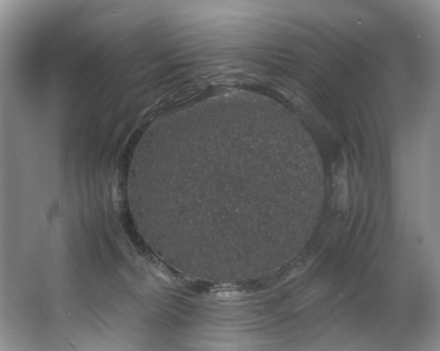 X0000064770228200602101257