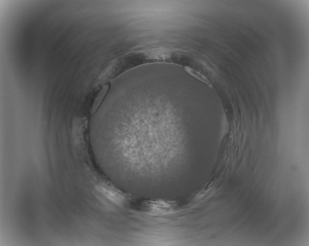 X0000064770229200602101257