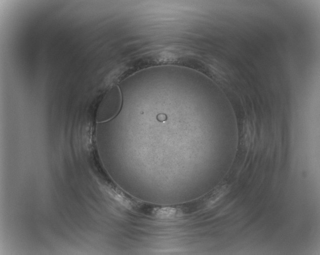 X0000064770230200602101257