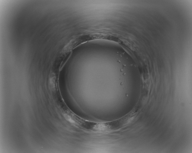 X0000064770231200602101257