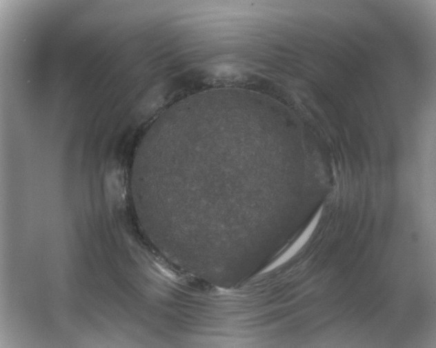 X0000064770232200602101257