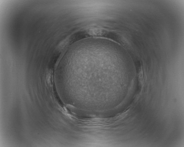 X0000064770233200602101257