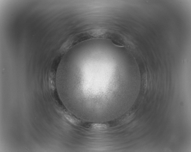 X0000064770234200602101257