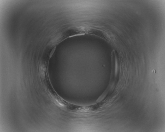 X0000064770235200602101257